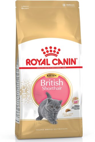 royal_canin_british_shorthair_kitten.jpg
